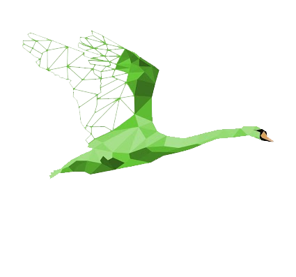 Green Swans Observatory logo